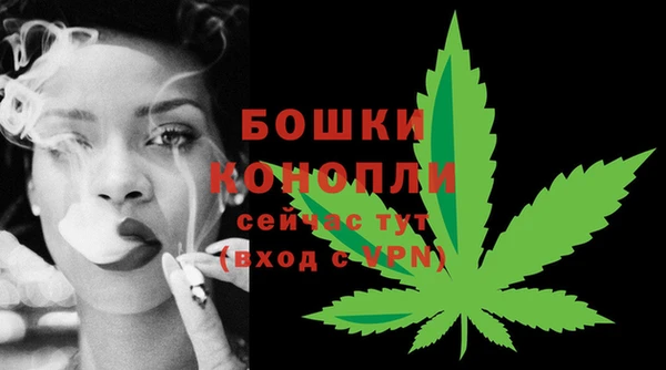 трава Бронницы