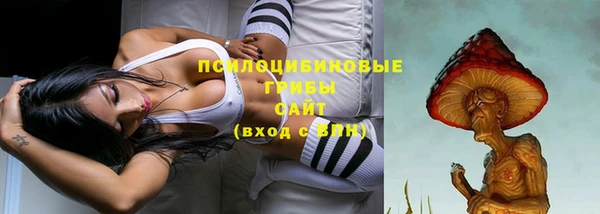 трава Бронницы