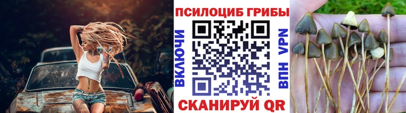 Купить  Лянтор  Псилоцибиновые грибы прущие грибы 